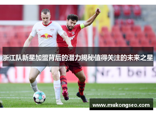 浙江队新星加盟背后的潜力揭秘值得关注的未来之星
