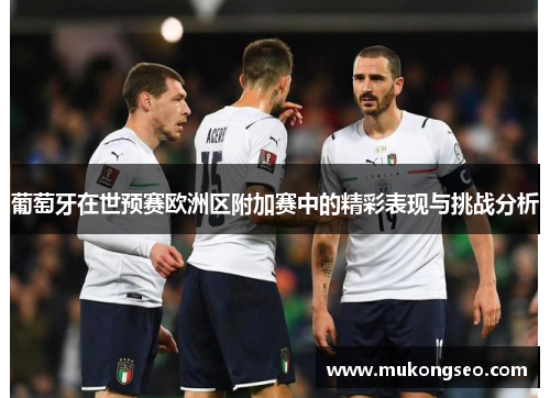 葡萄牙在世预赛欧洲区附加赛中的精彩表现与挑战分析 葡萄牙在世预赛欧洲区附加赛中的精彩表现与挑战分析