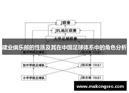 建业俱乐部的性质及其在中国足球体系中的角色分析
